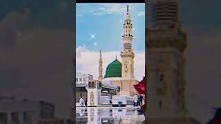 نہ ایسی زلفیں نہ ایسا چہرہ نہ یوں کسی...#naat #خوبصورت آواز #سلمان حیدر #viral #2024