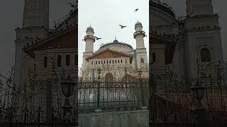 Pigeons flying from the King's mosque - کفترها و مسجدشاه دوشمشیره  د شاه دوشمشیره مسجد او کوترې