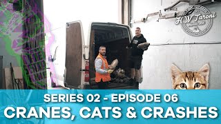 CRANES, CATS & CRASHES | Scrap King Diaries #S02EP6