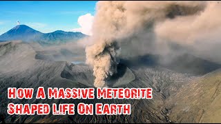 How A Massive Meteorite Shaped Life On Earth