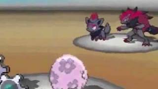 Pokemon Black and White - Official Trailer! New Pokemon Revealed!