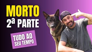 Segunda parte do COMANDO MORTO - Se NÃO RESPEITAR A velocidade NÃO vai dar CERTO!