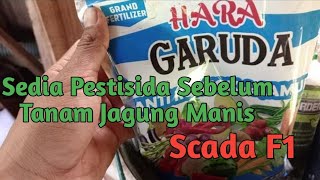 PESTISIDA DAN PUPUK UNTUK JAGUNG MANIS SCADA F1