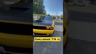 Challenger T/a