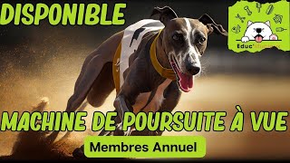 🐾🎯 Machines de Poursuite à Vue : Amusement et Contrôle de l'Instinct de Prédation CHIENS ! 🏃‍♂️✨