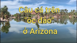 Câu cá trên "ốc đảo  " ở Arizona | Dung Võ Vàm Cỏ