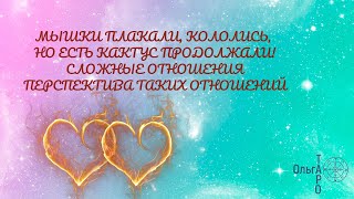 СЛОЖНЫЕ ОТНОШЕНИЯ ПЕРСПЕКТИВА #ольгатаро #гадание_на_отношения #сложные_отношения