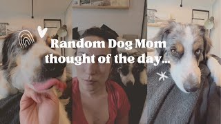 Random dog-mom thought of the day…