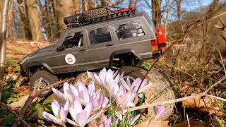 rc Jeep Cherokee  Wildflower Trail