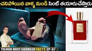 TOP INTERESTING & UNKNOWN FACTS IN TELUGU | TELUGU DOST-DO YOU KNOW EP-67