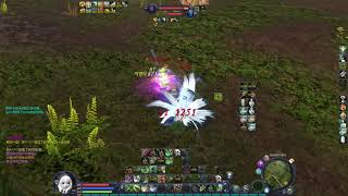 Aion Classic Korean Server 트리니엘 Templar PvP - one day pvp