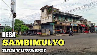 Desa Sambimulyo | Banyuwangi