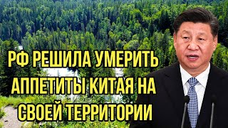 Си Цзиньпинь как минимум удивлен! Россия решила умерить аппетиты Китая на своей территории