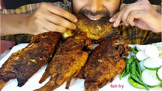 masala fish fry big telapia fish fry green chilli salad eating show mukbang fish fry