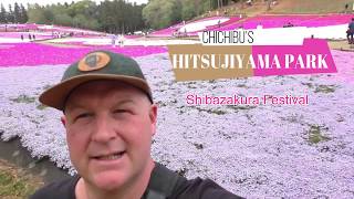 JAPAN GUIIDE - The Flower fields of Chichibu (Hitsujiyama Park)