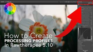 Custom Processing Profiles in Rawtherapee are CRAZY!