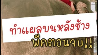 ใคร!! ใครแกงหมอ?? | หมอโบว์ หมอตัวเล็กกับคนไข้ตัวใหญ่