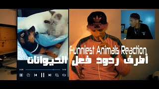 Funniest Animals Reaction أطرف ردود فعل الحيوانات