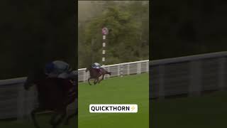 Quickthorn wins the Goodwood Cup #horse #horseracing #youtubeshorts #horserace #racing #youtube #fyp