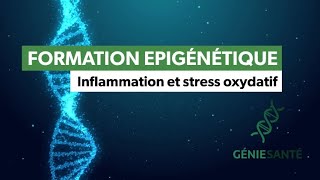 Inflammation et stress oxydatif - (vidéo de formation épigénétique)