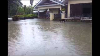 Clubhouse's Flooded Swimming Pool