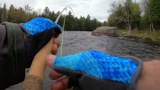 Fly Fishing For Trout: Flat Creek Combo by Jackson Hole Fly Company