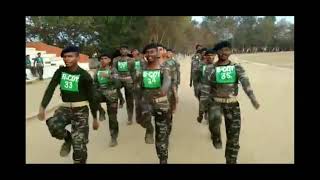 SSC GD bsf selected candidate | funny parade video #Shorts #ssc_gd | Jhanjhariya song