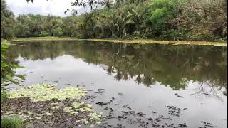 AÇUDE NO PIAUÍ - BRASIL