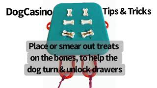 Nina Ottosson DogCasino Tips & Tricks