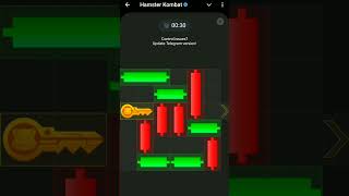 Hamster Kombat Mini Game 5 November Puzzle Solved Today