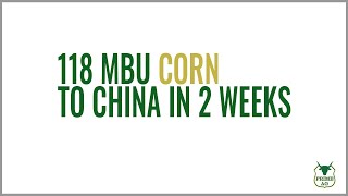 CHINA supporting the corn market?  Upside TARGETS