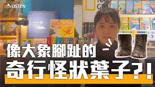 葉子除了橢圓形狀，也有長得像大象腳趾頭？國家地理｜ Booklife 單元短片 ｜Leaves 葉子