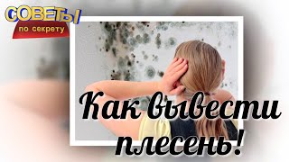 Как вывести ПЛЕСЕНЬ