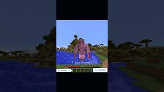 Eu e Meu Mano no Minecraft 281