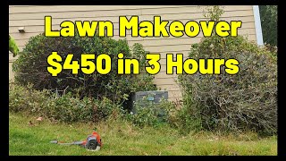 OVERGROWN ( Lawn Makeover)