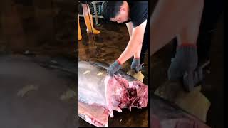 433kg Humongous Bluefin Tuna Neatly Filleted in an Impressive 1 Minute