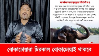 বোকাচোয়ারা চিরকাল বোয়াচোদা হয়েই থাকবে - Palakkad Elephant Dead vs Wayanad Kerala Landslide