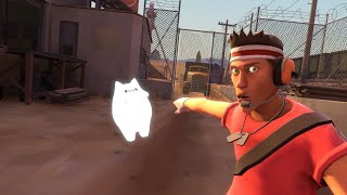 TF2 Scout, is that a freakin cat??