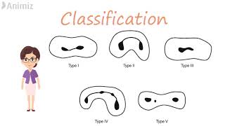 Isthmus & classification