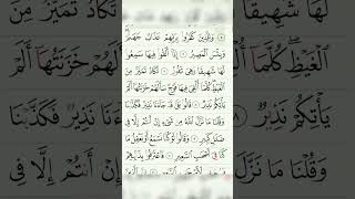 Surah Al mulk67 ❤️