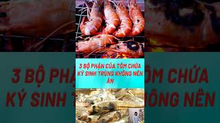 3 Bộ Phận Của Tôm Chứa Ký Sinh Trùng Không Nên Ăn#biquyetsongkhoetre #shortsvideo #food