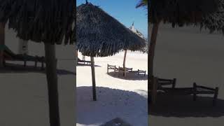 Examples of Luxury Accommodation in Zanzibar #shorts #shortsvideo