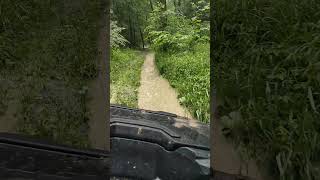 riding atv cam-am 1000cc in the forest after raining 🌧  #riding #atv #forest #jungle #atv