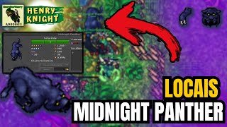 TIBIA - TODAS as LOCALIZAÇÕES da MIDNIGHT PANTHER, Bestiário RARO de 50 pontos