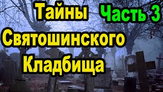 Почему Богородичный храм в честь Ксении Петербургской