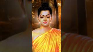 बुद्ध ने क्यों किया महाराजा बनने से इंकार।#buddha #thoughts #buddhateachings