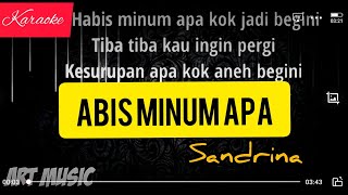 KARAOKE // ABIS MINUM APA - Sandrina