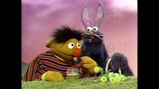 Sesame Street: Cookie Bunny.