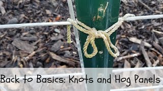 Back to Basics: Knots and Hog Panels