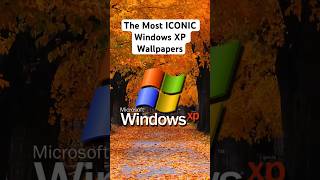 The Most ICONIC Windows XP Wallpapers!!!#nostalgia #xp